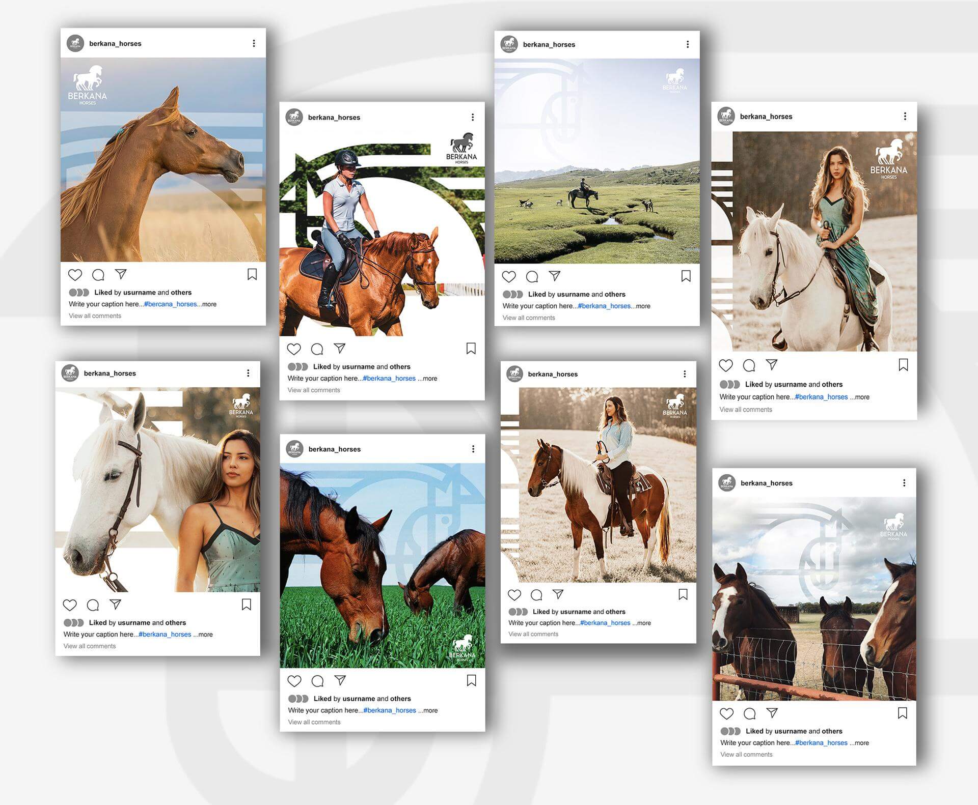 Фирменный стиль Berkana Horses Image 3