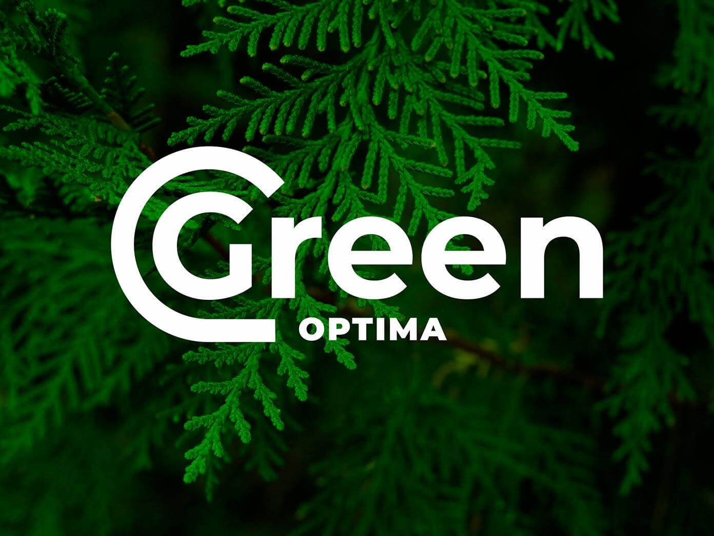 Фирменный стиль Green Optima